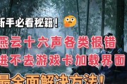 完美世界卡顿问题的解决方法是什么？