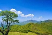《楚留香重阳宴饮周天匣获取方法》（游戏中如何获得周天匣）