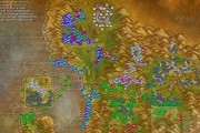 魔兽世界荆棘谷训练师战斗策略是什么？