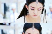 《蜀山战纪之剑侠传奇》中灵宠等级提升方法是什么？