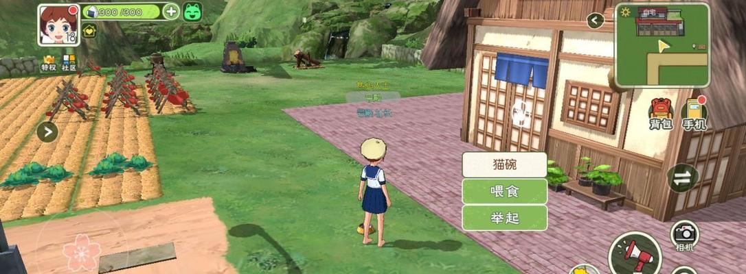 小森生活房屋升级指南（打造最完美的岛屿生活）