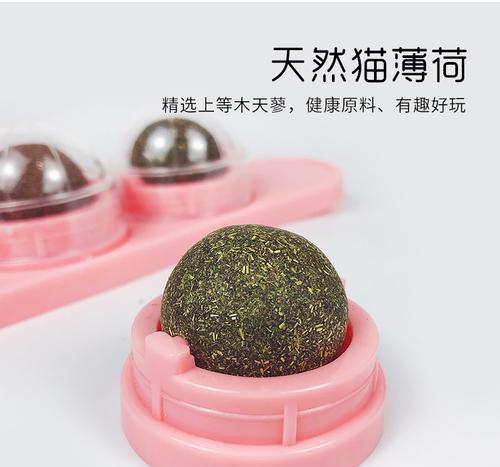 《小森生活猫薄荷获取攻略》（探寻猫咪的最爱！）