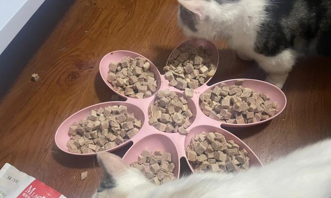《料理次元猫饭技能属性详解》（一起来探究料理次元中神秘的猫饭技能吧）