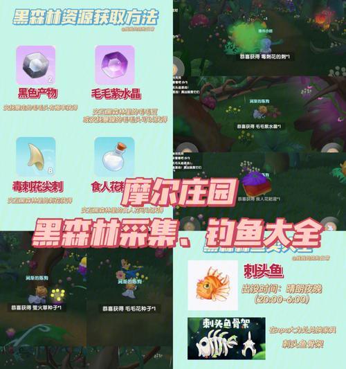 摩尔庄园手游（探寻黑森林中消失的人们）