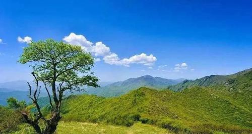 《楚留香重阳宴饮周天匣获取方法》（游戏中如何获得周天匣）