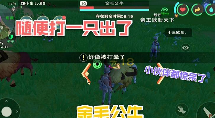 魔法奇遇进化果（以游戏为主）