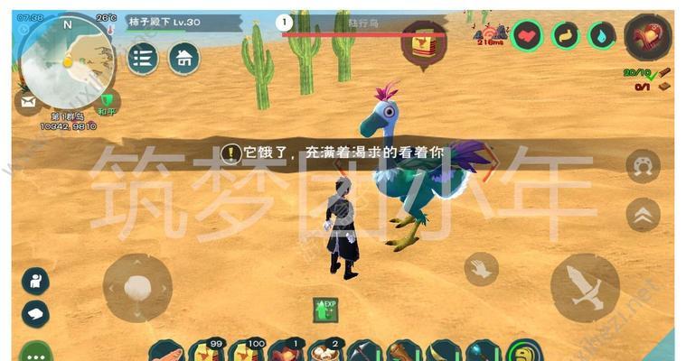 探秘创造与魔法赛兰斯的奇幻世界（进入游戏与探索无尽的创造力）