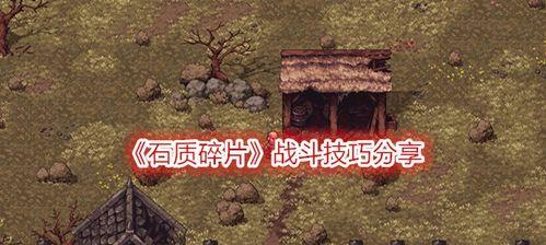 《以石质碎片新手战斗技巧》（掌握石质碎片技能）