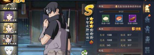 《天天风之旅》暗部忍者搭配宠物指南？如何发挥最大效果？