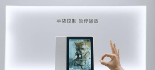 哪些手游支持屏幕旋转功能？