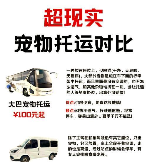 老司机宠物的获取途径是什么？它有何用途？