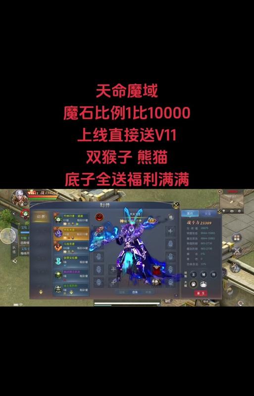 魔域中哪种猫能带来更高的伤害？