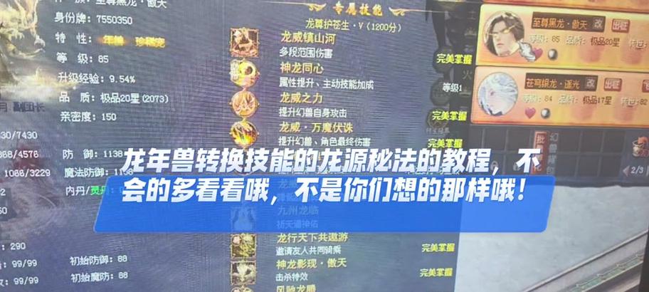 魔域精灵专精技能如何选择？选择专精技能的依据是什么？