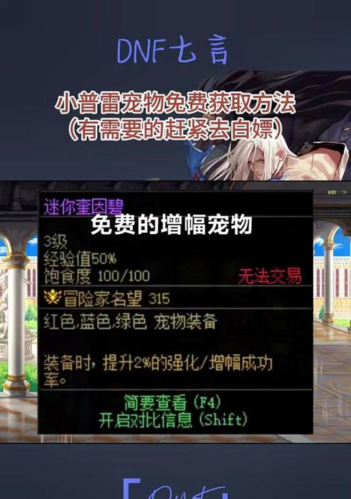 dnf宠物装备如何更换？更换宠物装备的步骤是什么？