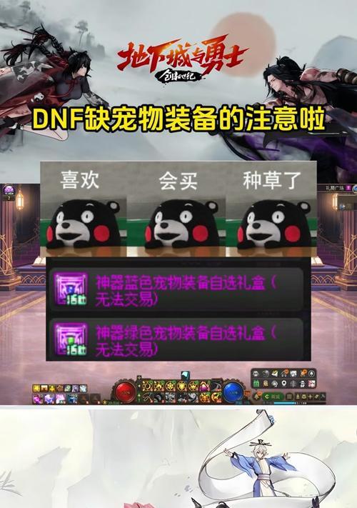 dnf宠物装备获取途径有哪些？获取后如何使用？